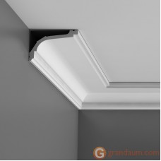 Карниз с гладким профилем Orac Decor C220